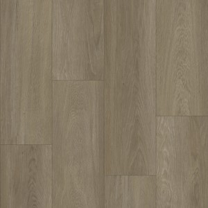 Bodiax BP370 Estrela 123