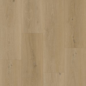Bodiax BP300 Longa 331