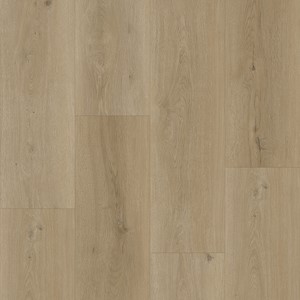 Bodiax BP500 Thor 532
