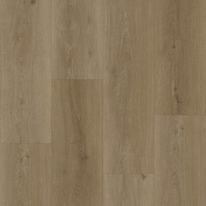 Bodiax BP500 Thor 533