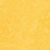 Forbo Marmoleum® Click 30x30 333251 Lemon Zest