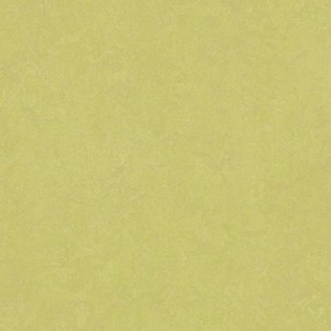 Forbo Marmoleum® Click 30x30 333885 Spring Buds