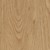 Forbo Allura Click Love Life 121.2 x 18.7 cc66065 honey elegant oak