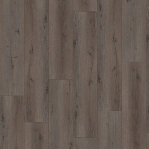 Gelasta City Register 8203 Forest Oak Misty Grey