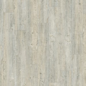 Moduleo Transform Latin Pine 24242