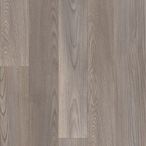 Moduleo Transform Mexican Ash 20965
